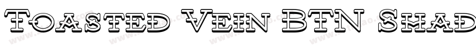 Toasted Vein BTN Shadow字体转换